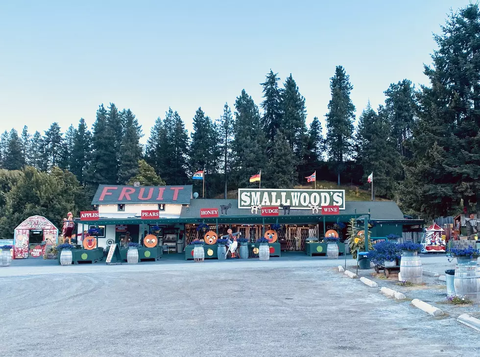 Smallwood’s Harvest makes for Big Memories: Check It Out