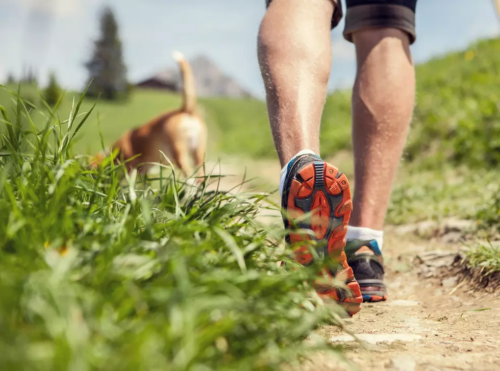 Dogs Help Helped Us Exercise More in 2023!