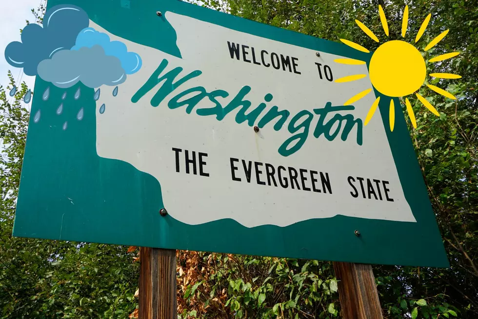 Washington Doesn’t Make the Top 10 Rainiest States List?