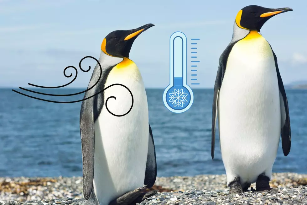 In WA, It’s Not “Windchill” Anymore: Here’s The New Name