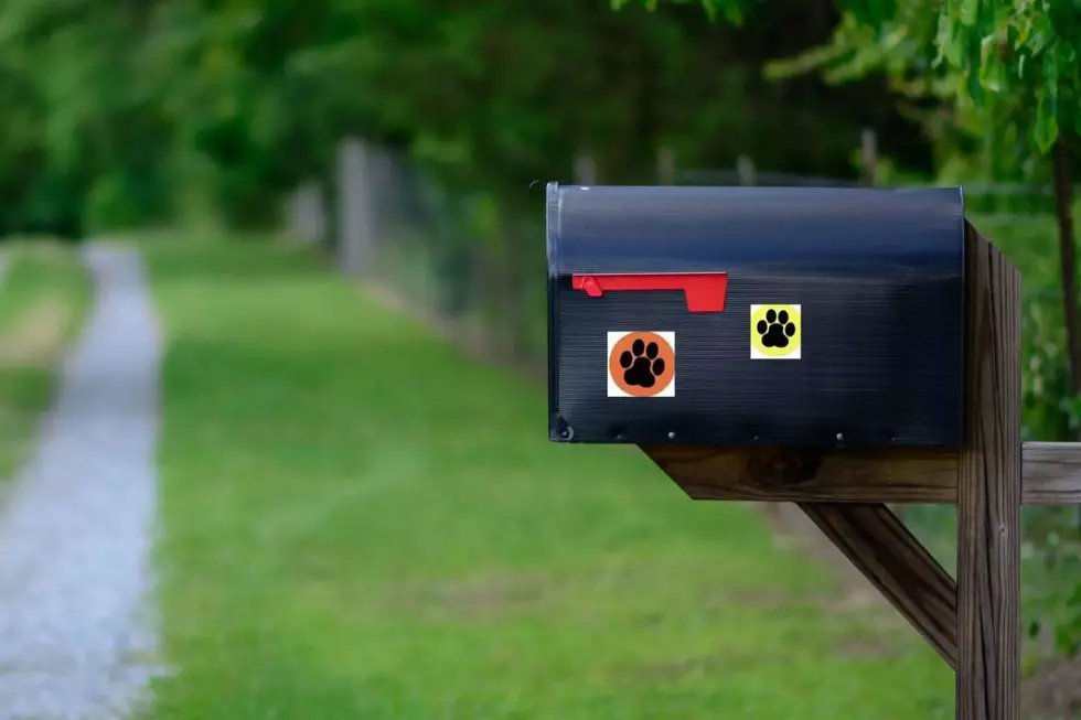 How A Sticker Is Changing The Way WA Mail Carriers Meet Dogs
