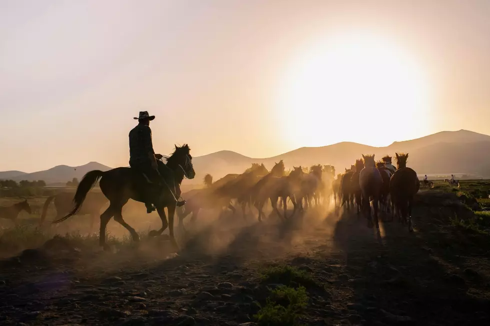 Best Dude Ranches in Washington