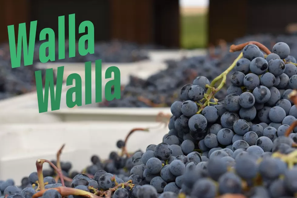 Sip And Savor Your Way Through Washington’s Wine Country